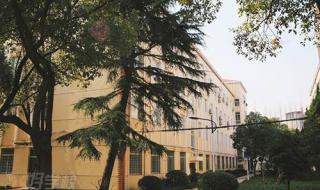 上海国际学校ALEVEL 上海国际学校ALEVEL