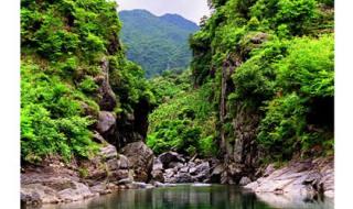 牯牛降旅游 牯牛降旅游