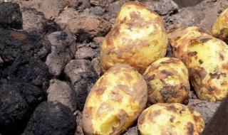 会泽炸洋芋作料配方